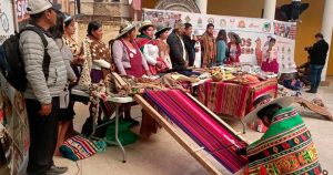 feria-de-camelidos