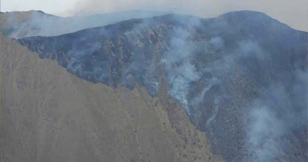 INCENDIO
