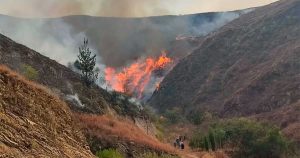 INCENDIO-TARIJA-2