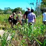 Trópico de Cochabamba: El trágico final de Filomena Michel, la mujer que fue secuestrada