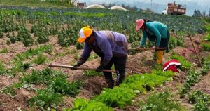 TRABAJO-EN-LA-TIERRA