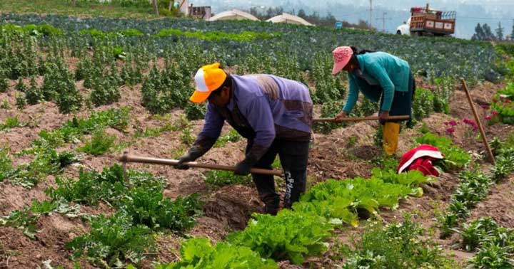 TRABAJO-EN-LA-TIERRA