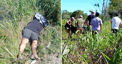 ASESINATO-EN-EL-TROPICO