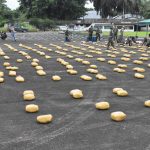 Megaoperativo antidroga en el Trópico: más de una tonelada incautada y golpe millonario a redes criminales