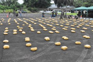 Droga secuestrada en el Trópico.